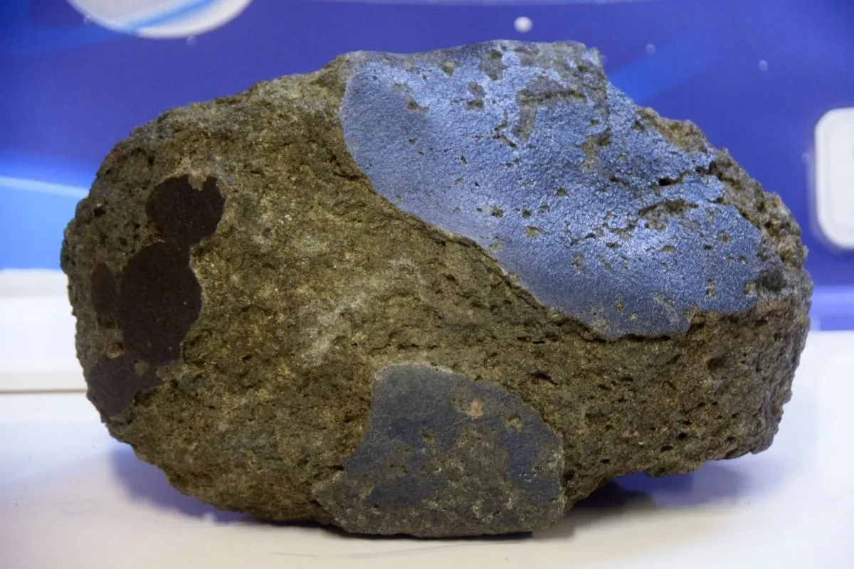 Muž po léta schovával hnědý kámen, protože si myslel, že obsahuje zlato, ale nakonec zjistil, že je to něco mnohem cennějšího.