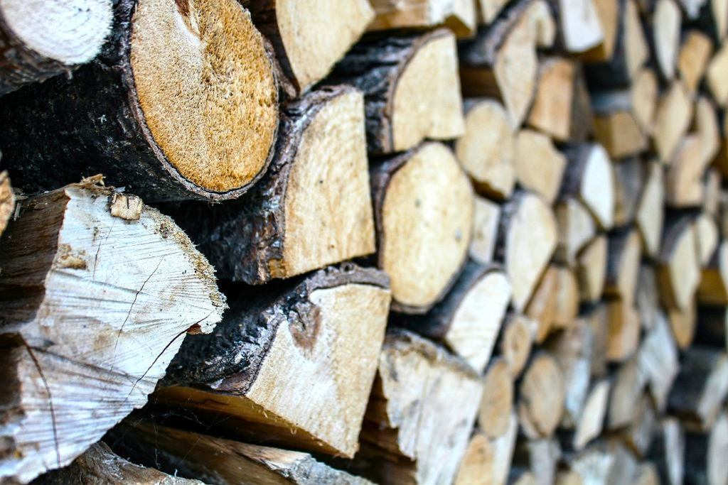 Češi objevili nové „zlato“ pro krby. Toto dřevo je levné a skvěle topí.