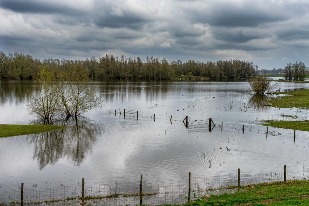 Algarve eviduje ztráty v zemědělství a rybolovu ve výši 5,5 milionu eur