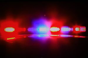 Polícia investiga morte de homem achado com corpo devorado por cães