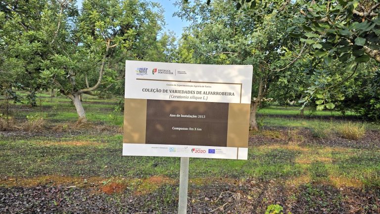 Nedostatek provozních zaměstnanců vede k otevírání volných pracovních míst v zemědělském experimentálním centru Tavira