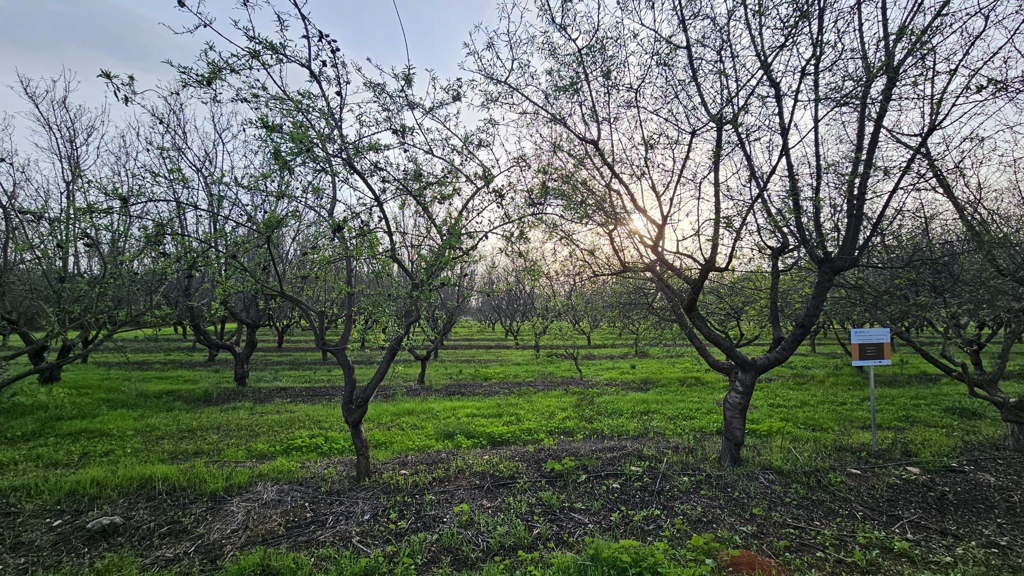 Nedostatek provozních zaměstnanců vede k otevírání volných pracovních míst v zemědělském experimentálním centru Tavira