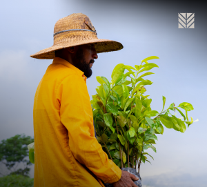 SOS Amazônia abre seletivo para contratar assistentes técnicos no Acre