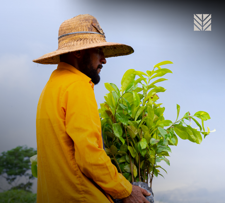 SOS Amazônia abre seletivo para contratar assistentes técnicos no Acre