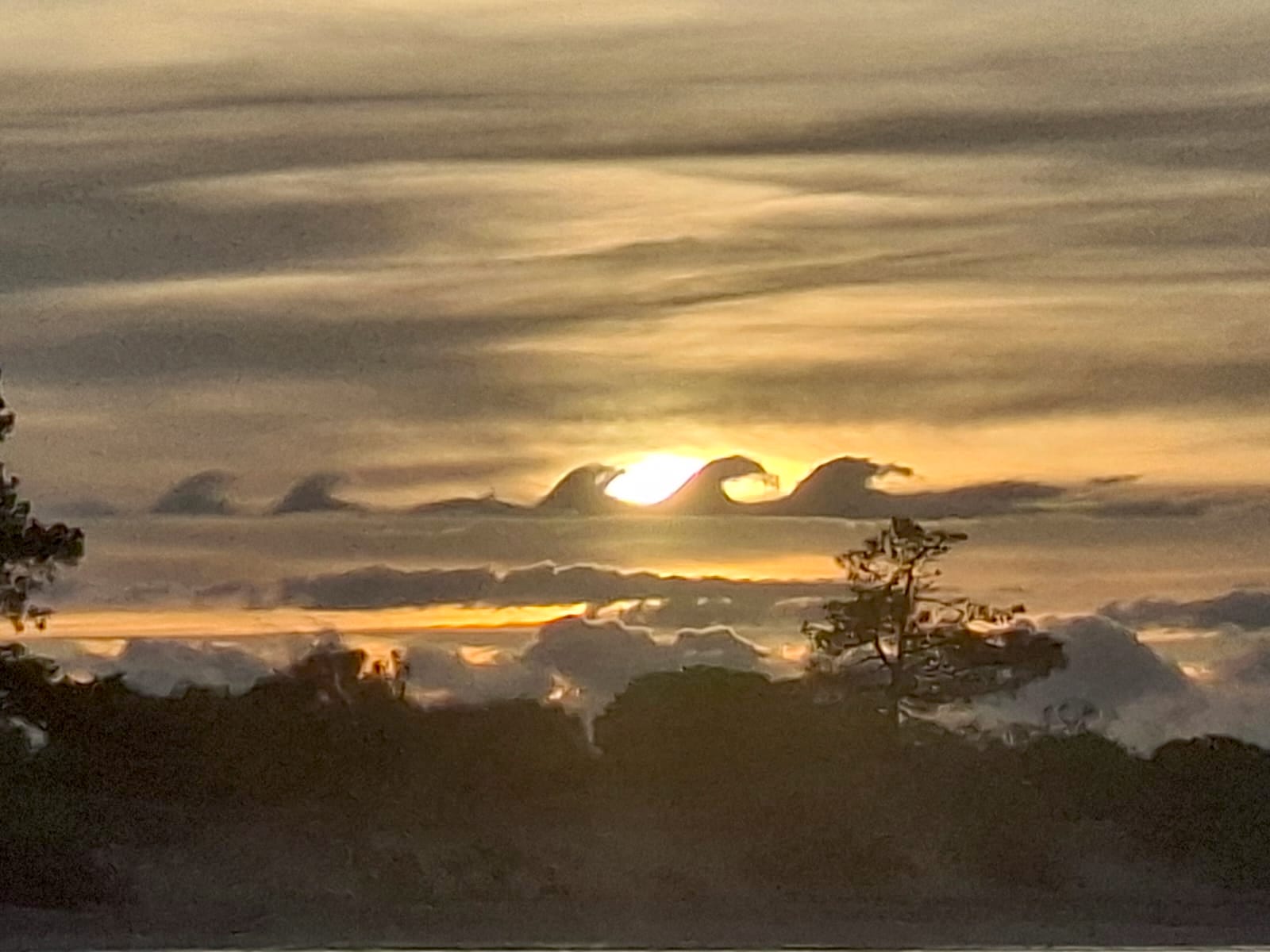 Společnost Séqua Tours investuje do inovací a posiluje turistickou nabídku v Ria Formosa