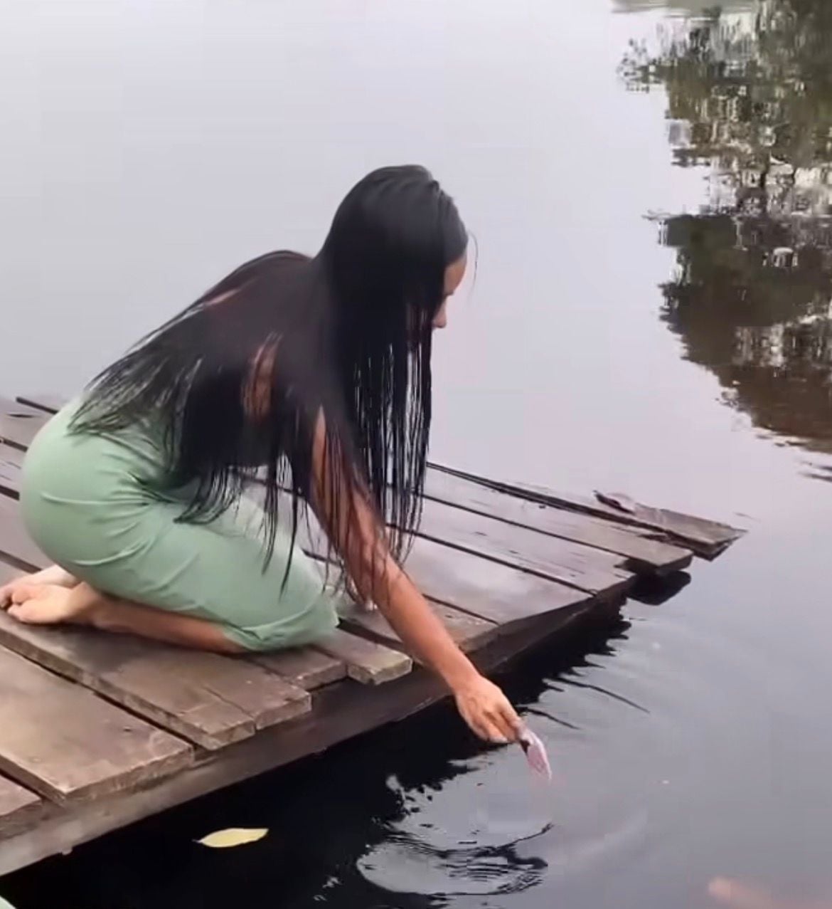 Vídeo mostra boto-cor-de-rosa interagindo com jovem em rio do Amazonas