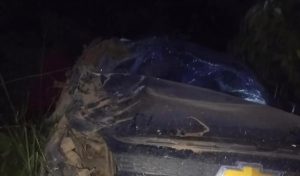 Caminhonete capota após motorista perder controle