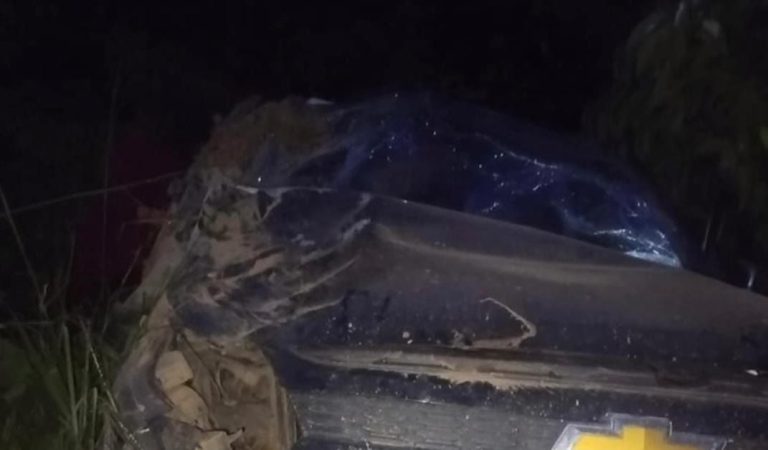 Caminhonete capota após motorista perder controle