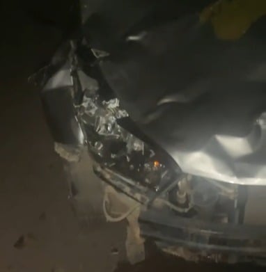 Colisão entre carro e búfalo é registrada na AC-405