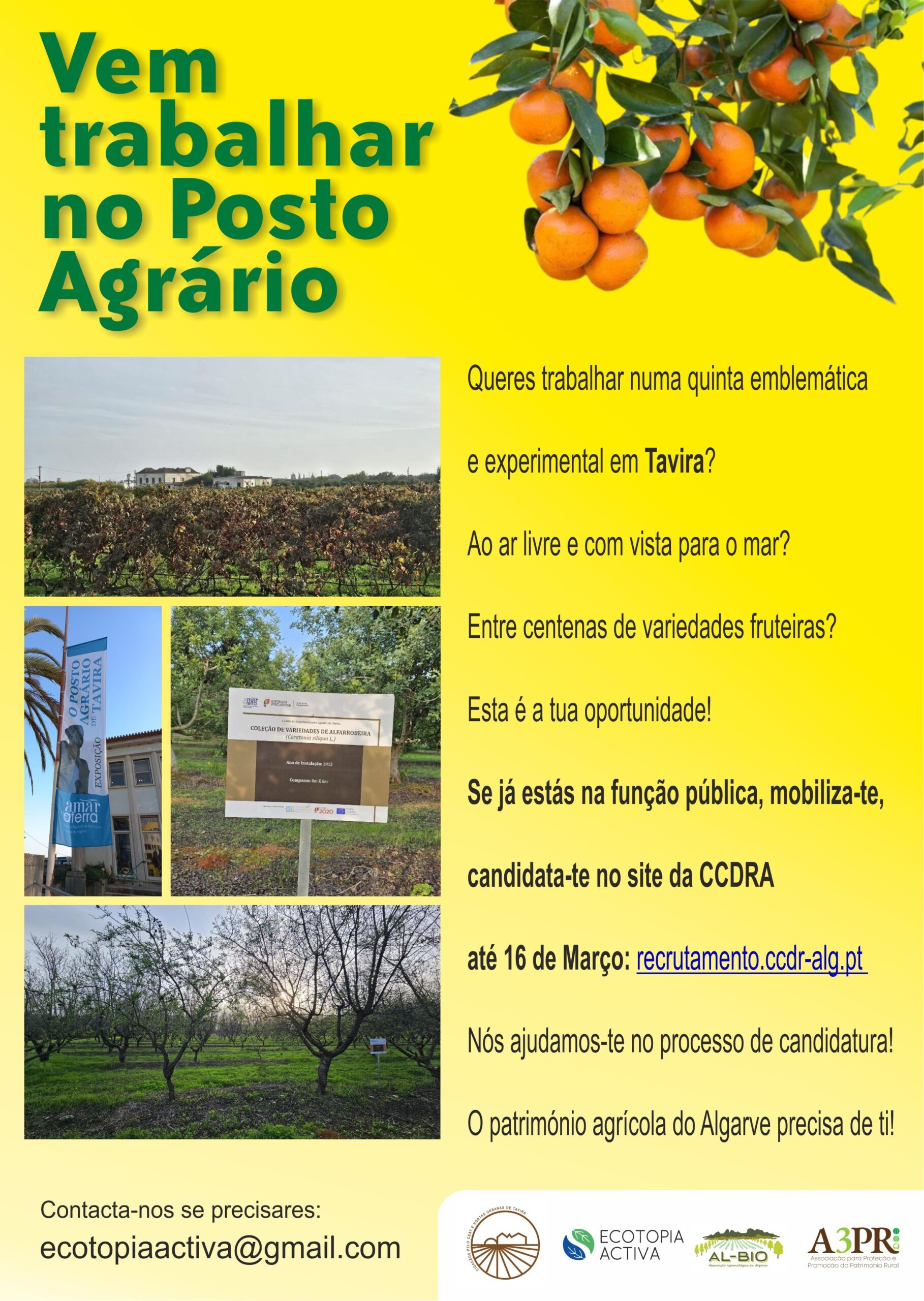 Nedostatek provozních zaměstnanců vede k otevírání volných pracovních míst v zemědělském experimentálním centru Tavira