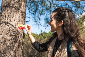 Placená stáž v Rota Vicentina spojuje přírodu a turistiku