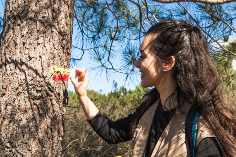 Placená stáž v Rota Vicentina spojuje přírodu a turistiku