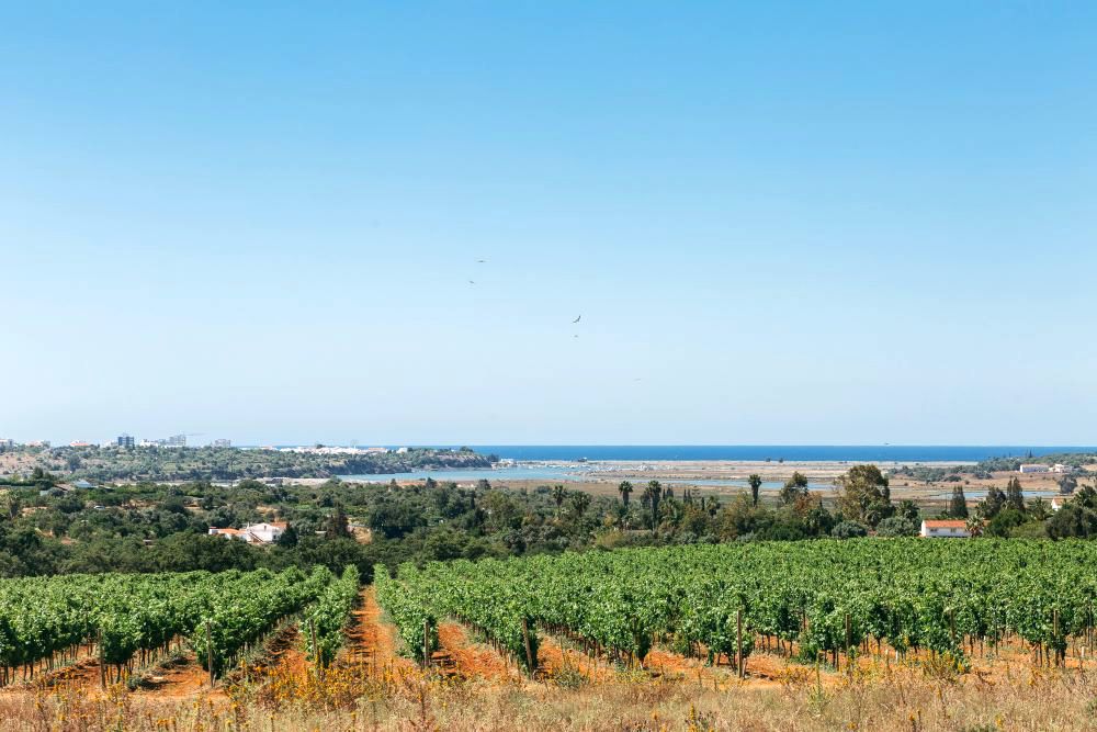 Vína a gastronomie z Portimãa prezentované mezinárodním kupujícím