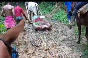 resgate dramático de vítima de derrubada em ramal