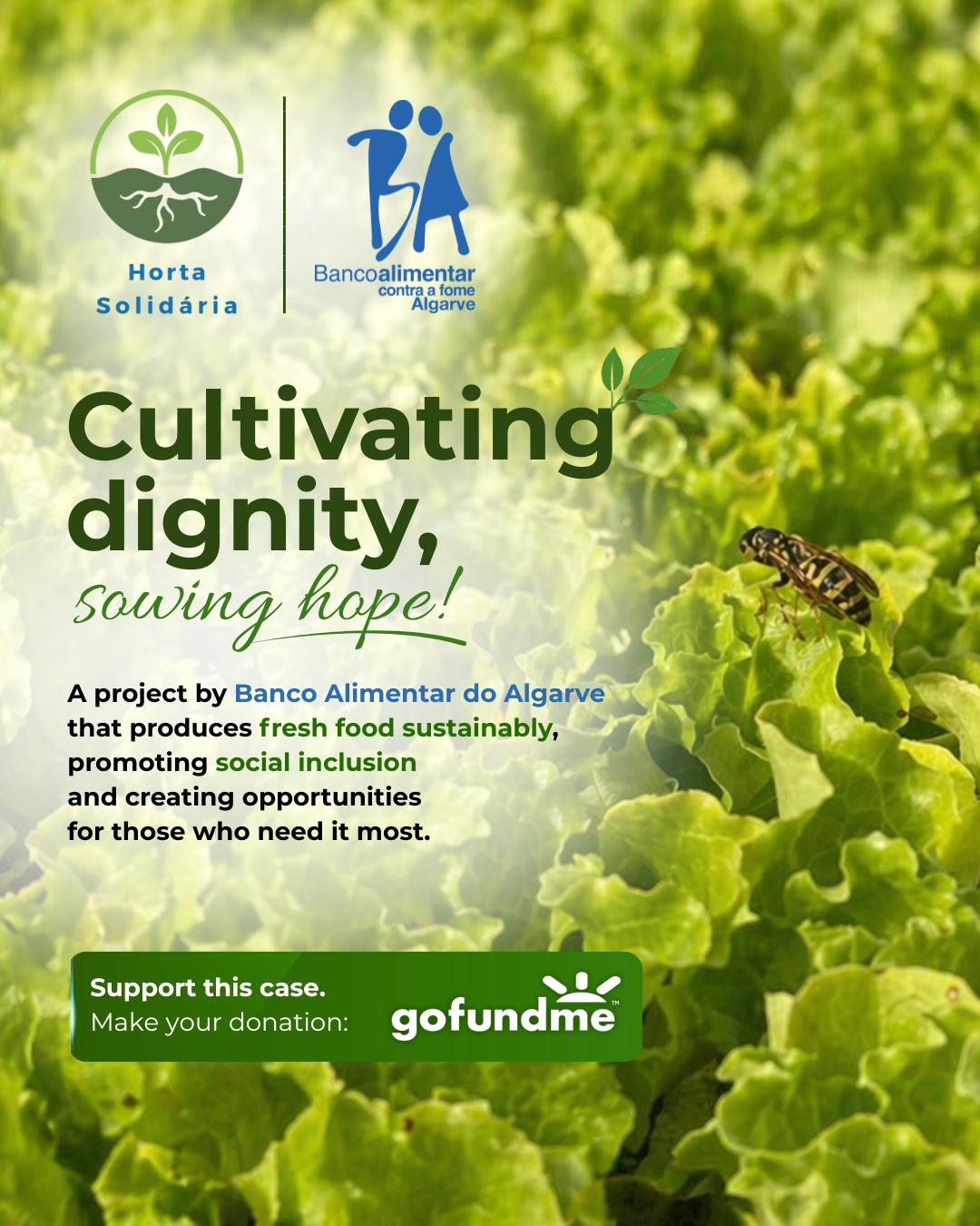 Kampaň podporuje růst Horta Solidária pro Taviru a Portimão