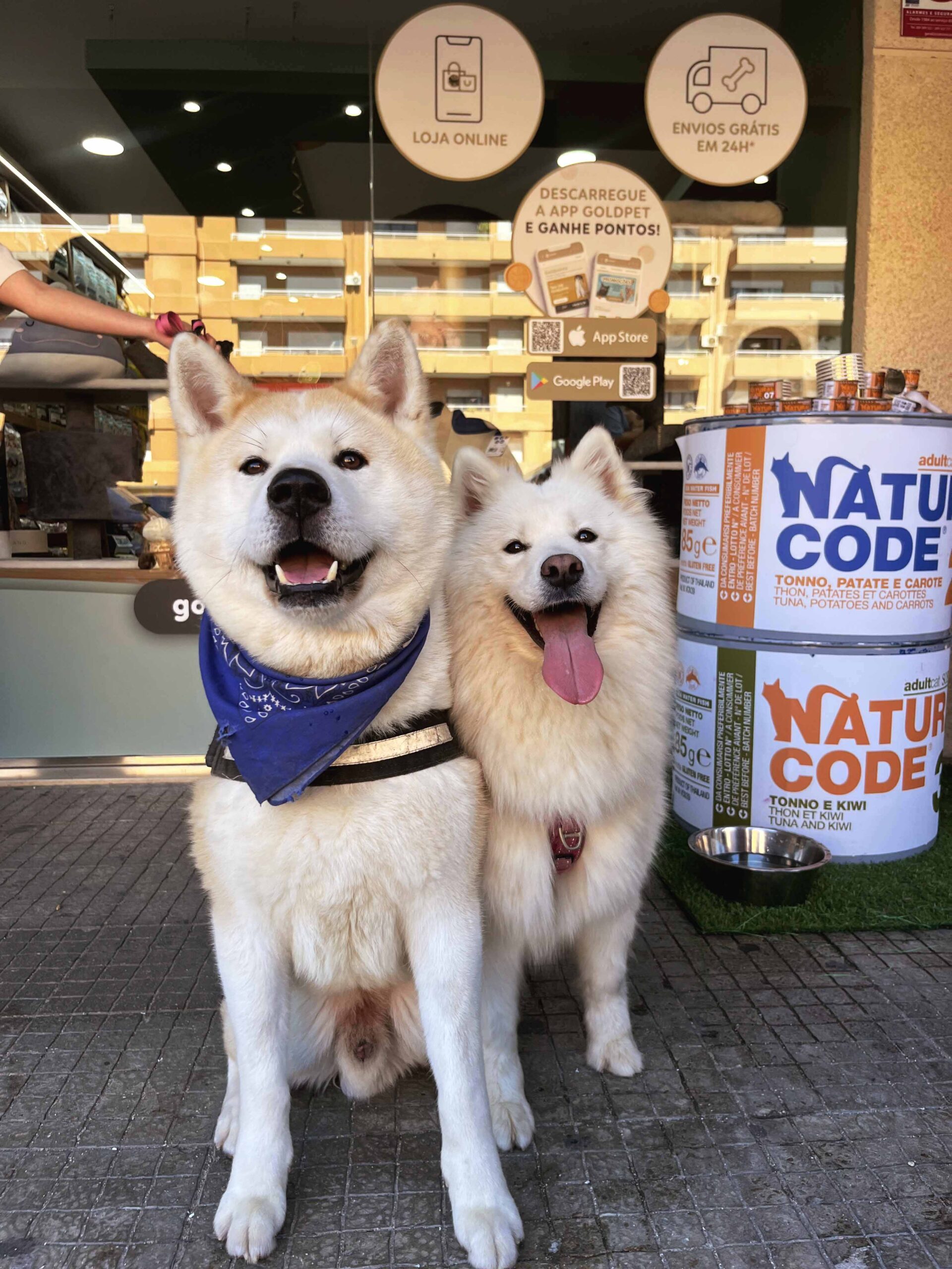 Nový obchod Goldpet posiluje nabídku pro zvířata na jihu