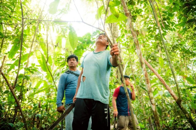 WhatsApp Image 2026 03 28 At 15.09.30 E1774729899476