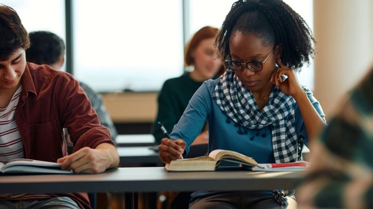 Envato Ensino Superior Universitario Estudante Widexl