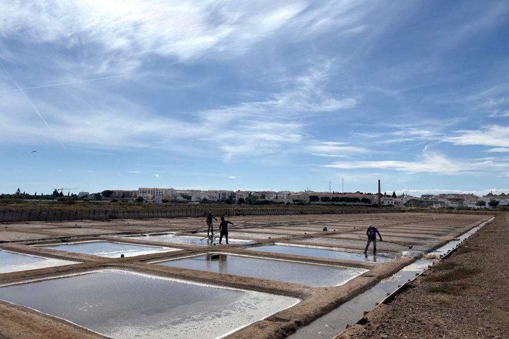 Projekt „Cabaz do Mar“ se vrací s návštěvou solných plání Tavira