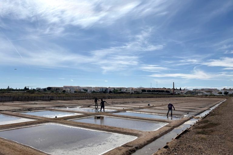 Projekt „Cabaz do Mar“ se vrací s návštěvou solných plání Tavira