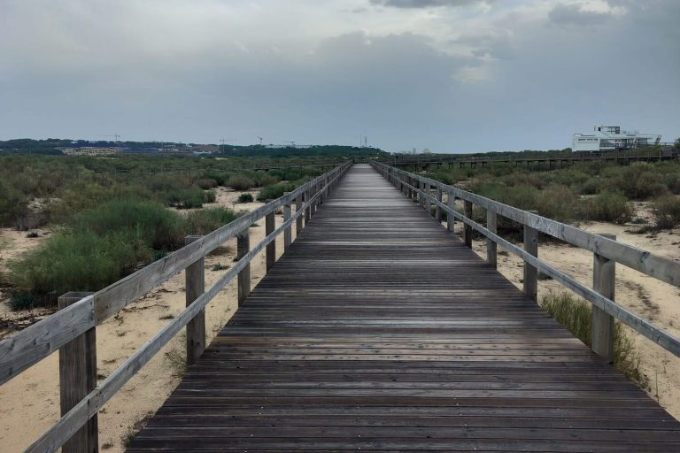 Passadiços de Altura.