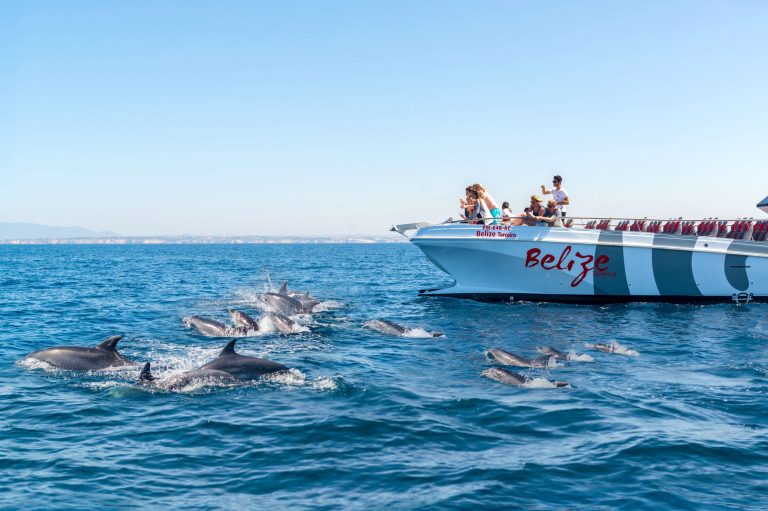 X Ride se stává součástí skupiny AlgarExperience
