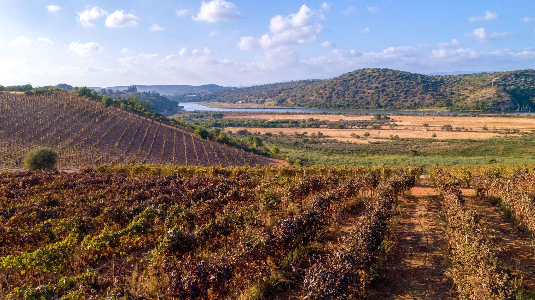 Algarve přináší přírodní a vinařskou turistiku do Expovacaciones v Bilbau