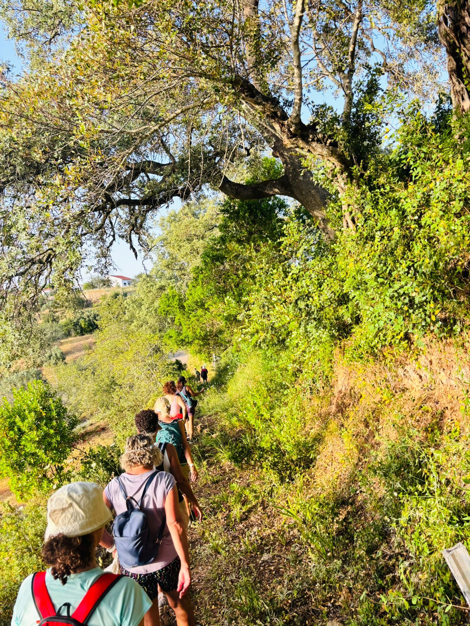Pěší túra v Alte označovaném geoparkem UNESCO s cestou do Rocha dos Soídos