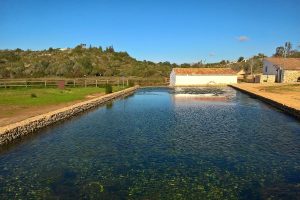 Parque Municipal do Sítio das Fontes.