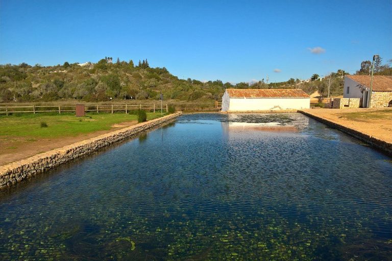 Parque Municipal do Sítio das Fontes.
