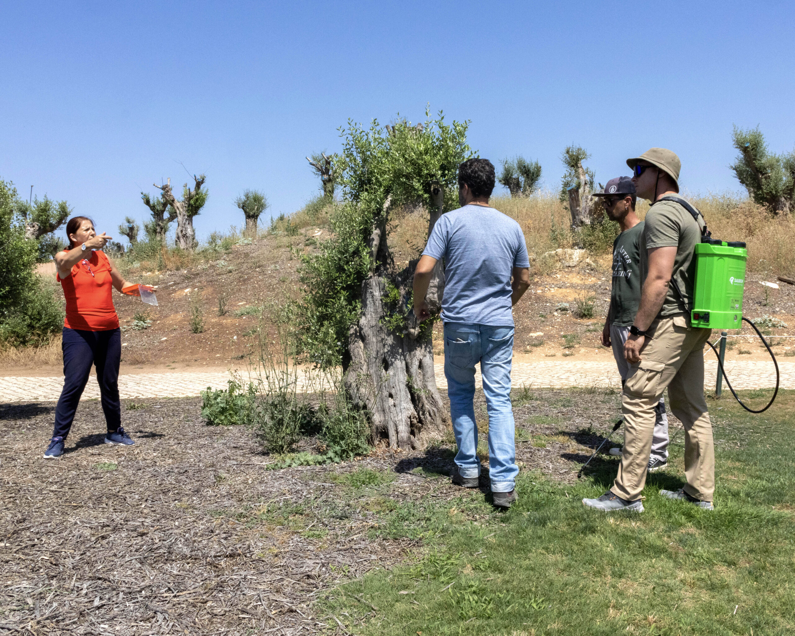 Santa Casa de Albufeira přesahuje 350 absolventů s projektem CAPACITAR
