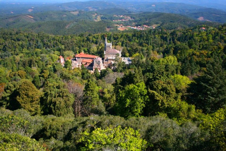 Portugalský les se stane prvním Terapeutickým lesem na Pyrenejském poloostrově