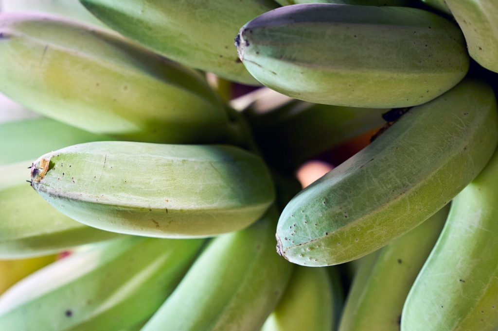 Banana da Madeira.