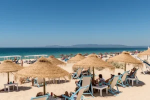 Comporta.