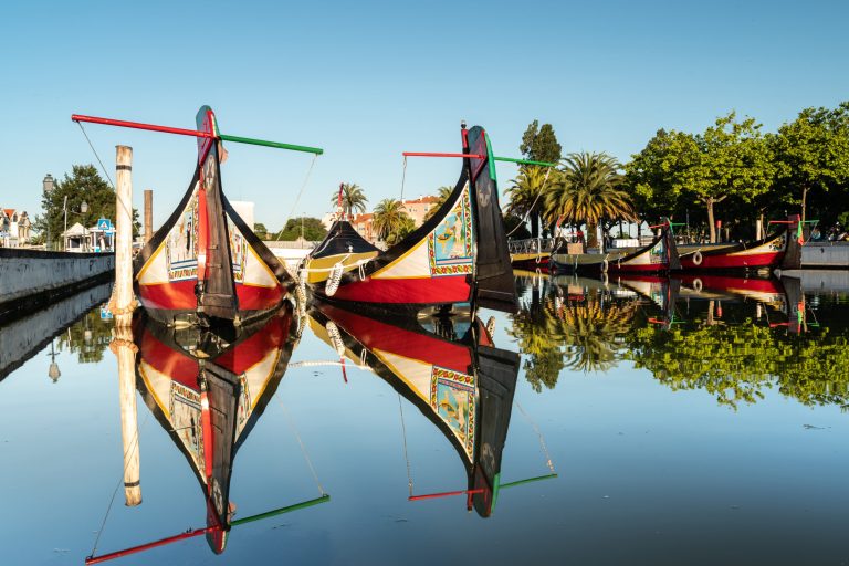 V Ria de Aveiro je ostrov, který je v aukci za 750 000 EUR a má 37 hektarů