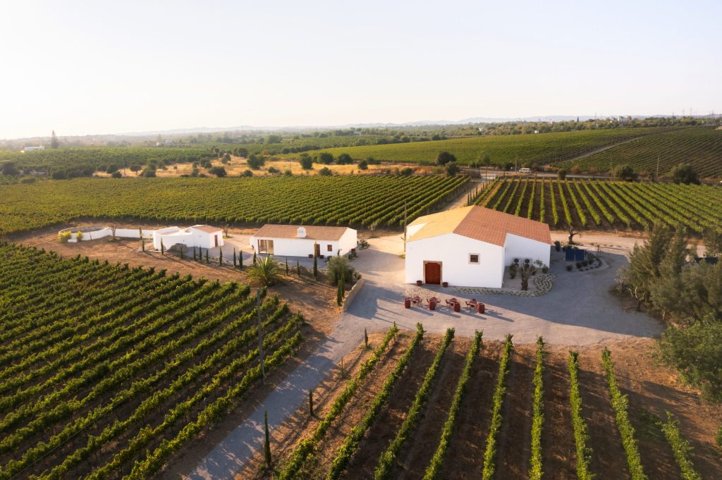 Tavira propaguje vína z obce novou iniciativou „Cabaz da Terra“.